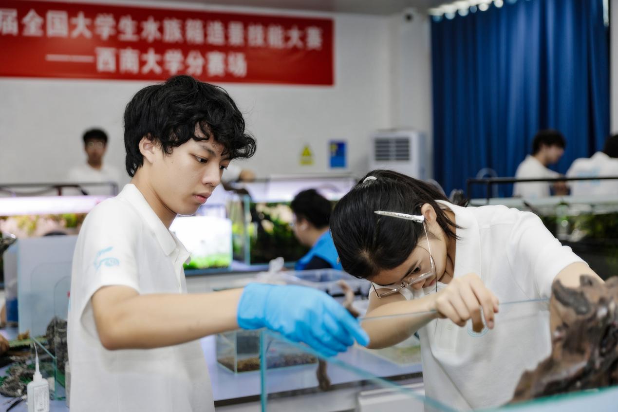 文件名称:image6.jpeg原图大小:NaNGB