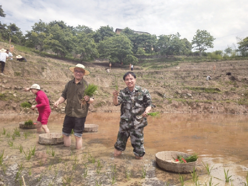 在“象牙塔”与“泥巴墙”之间