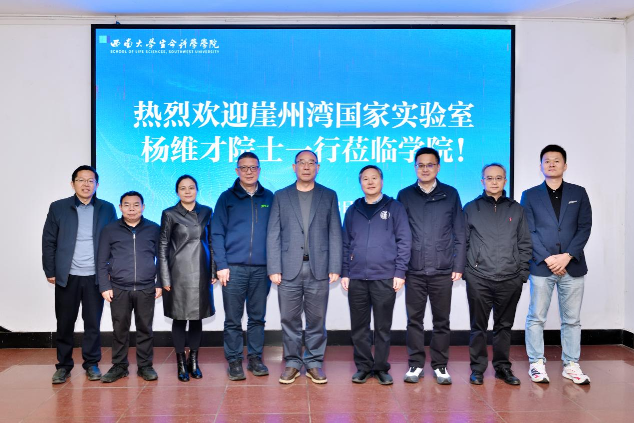 文件名称:image1.png原图大小:NaNGB