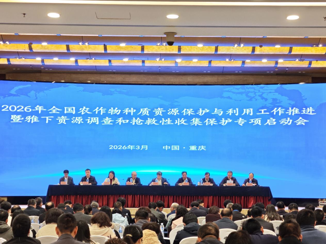 文件名称:image1.jpeg原图大小:NaNGB