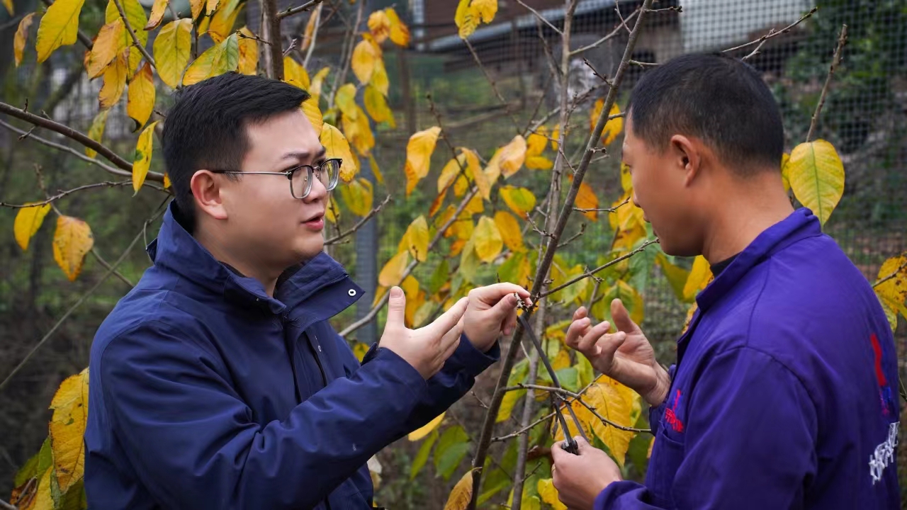 文件名称:微信图片_20260401151830_58_1759.jpg原图大小:0.57MB