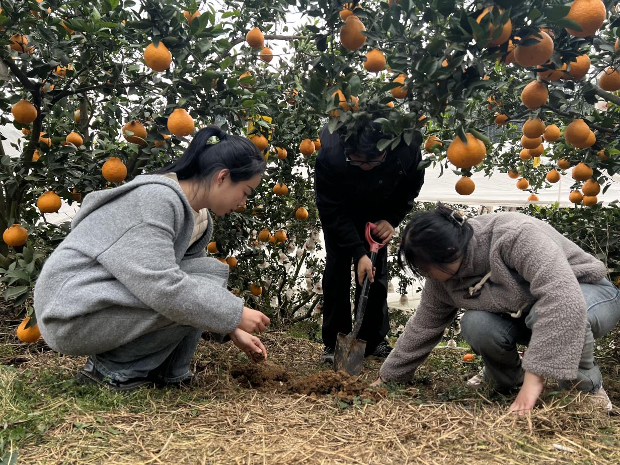 文件名称:image11.jpeg原图大小:NaNGB